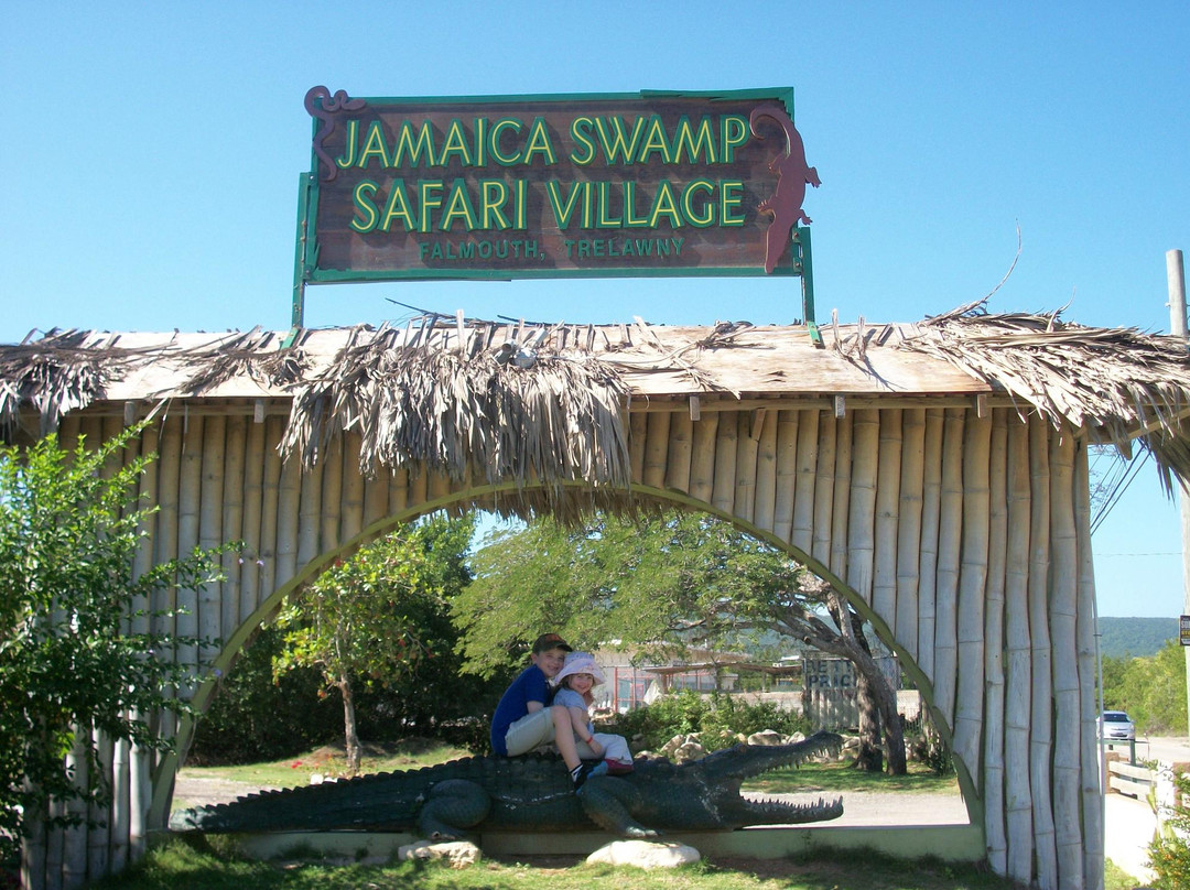 Jamaica Swamp Safari Village-法尔茅斯必去景点