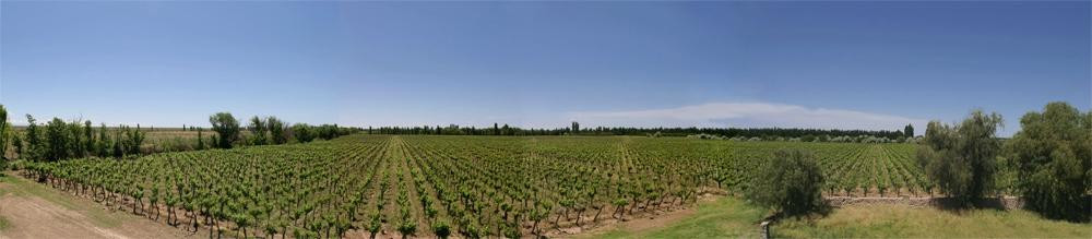 Gavilan Vineyards - Day Tours-圣拉斐尔必去景点