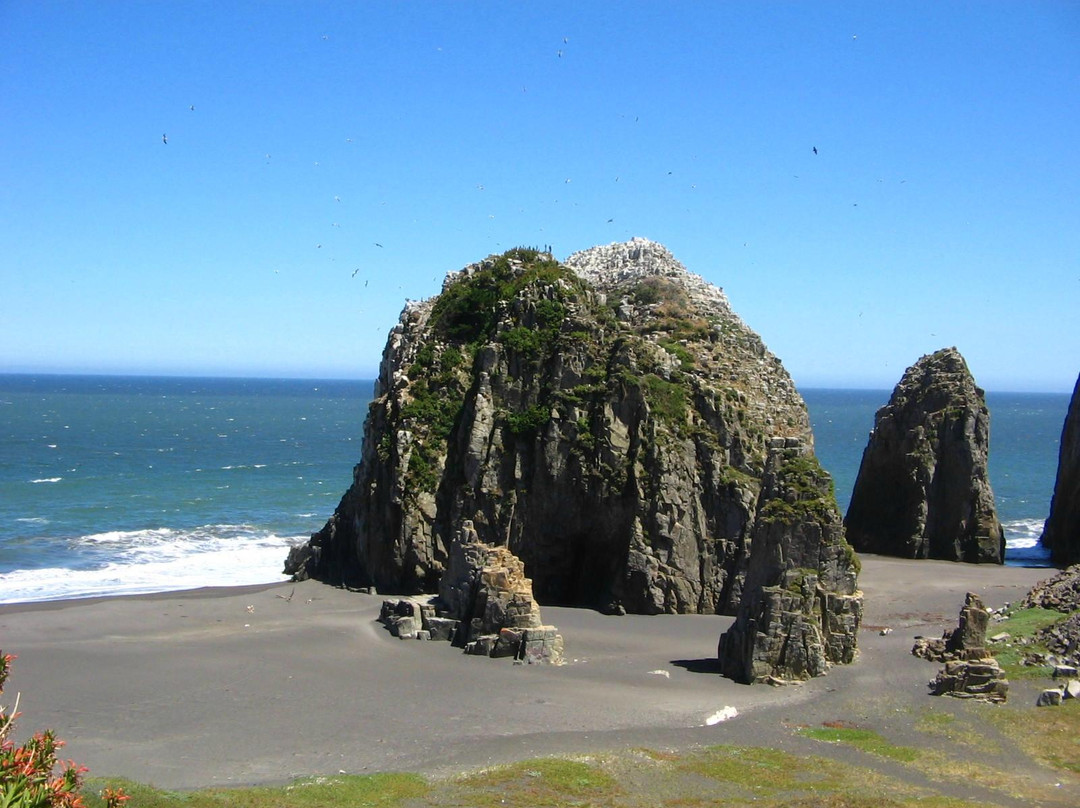 Alpaca Ciclismo-Curico必去景点