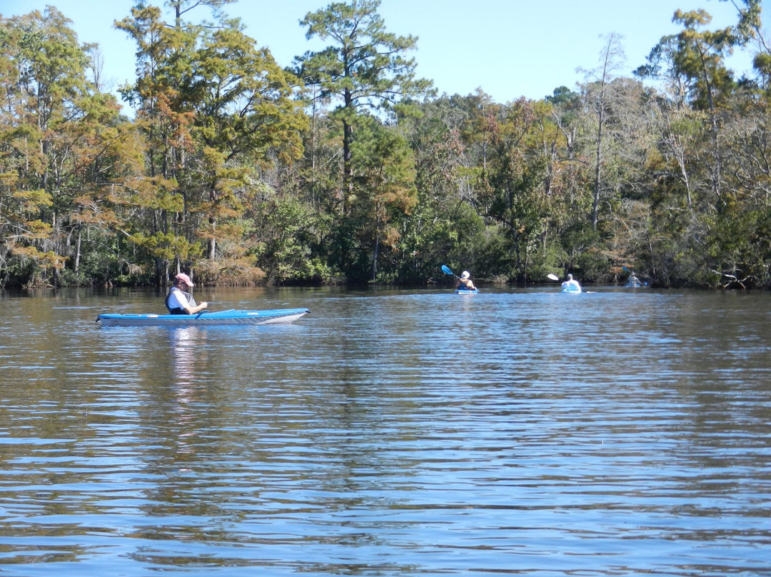 Bayou Adventure景点图片