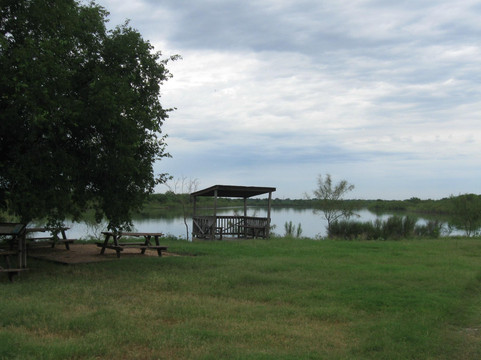Mitchell Lake Audubon Center-圣安东尼奥市必去景点