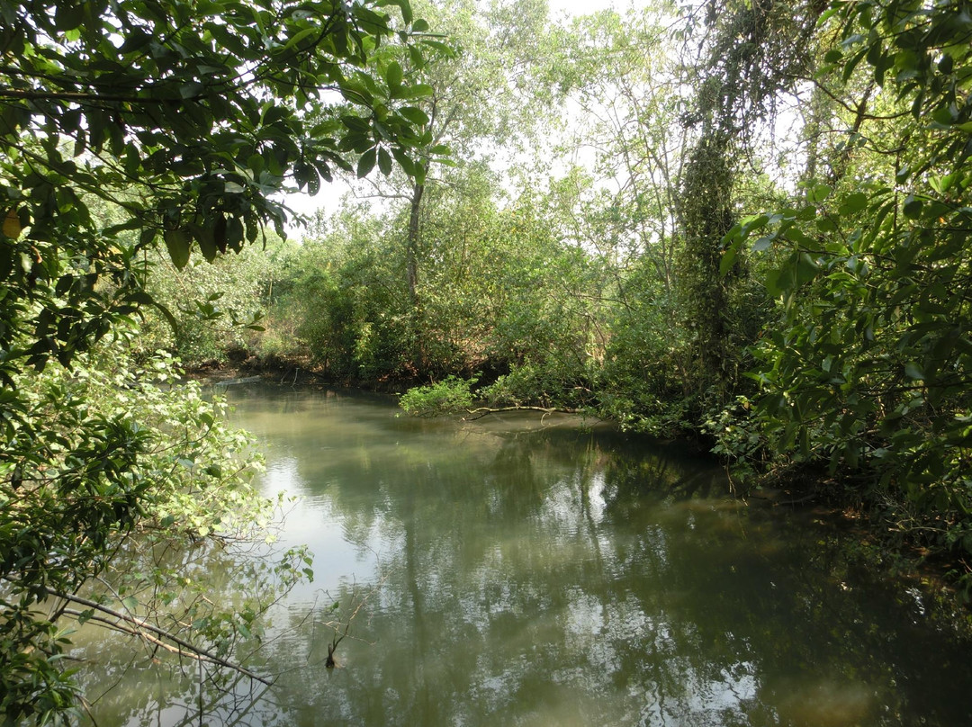 双溪布洛湿地保护区-新加坡必去景点