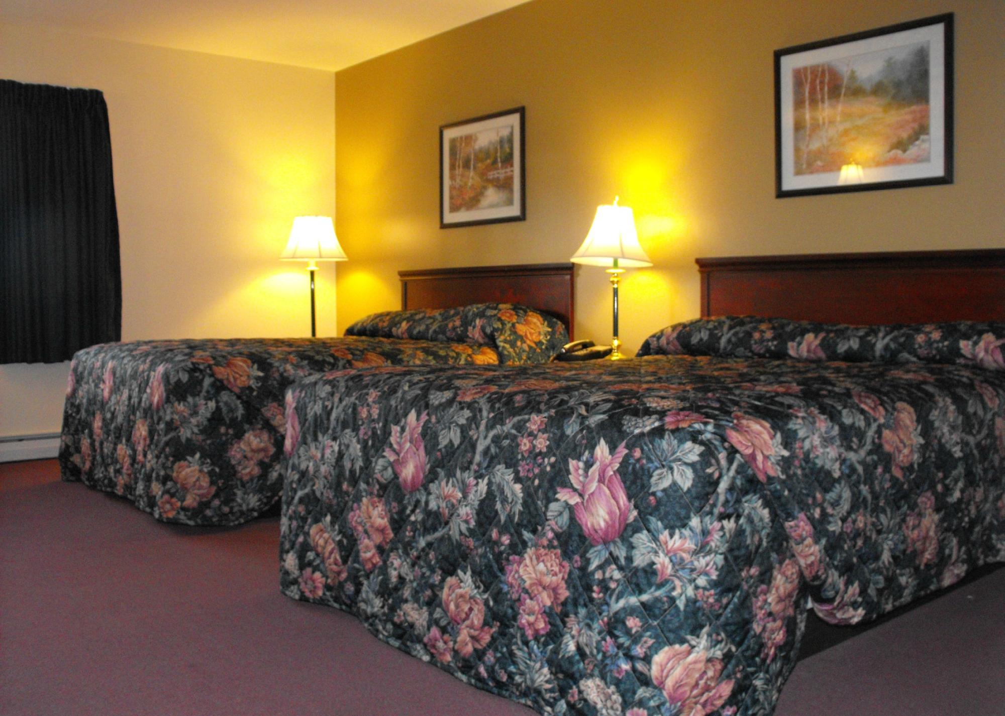 Coos Motor Inn-客卧