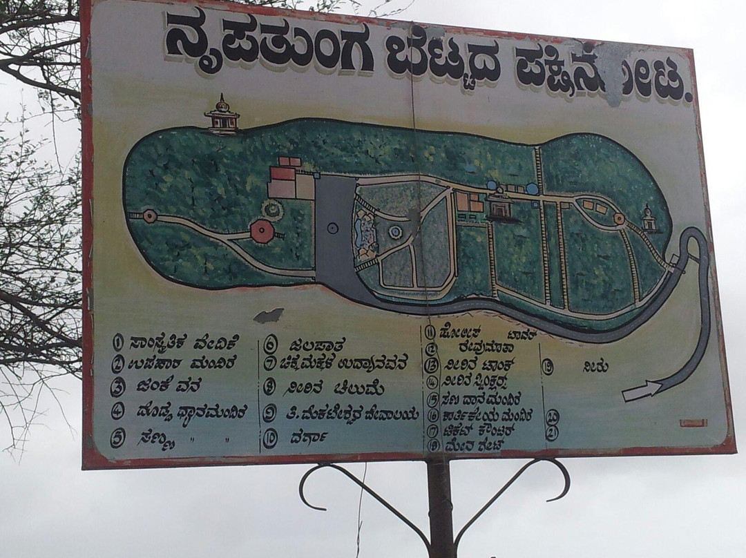 Nrupatunga Betta景点图片
