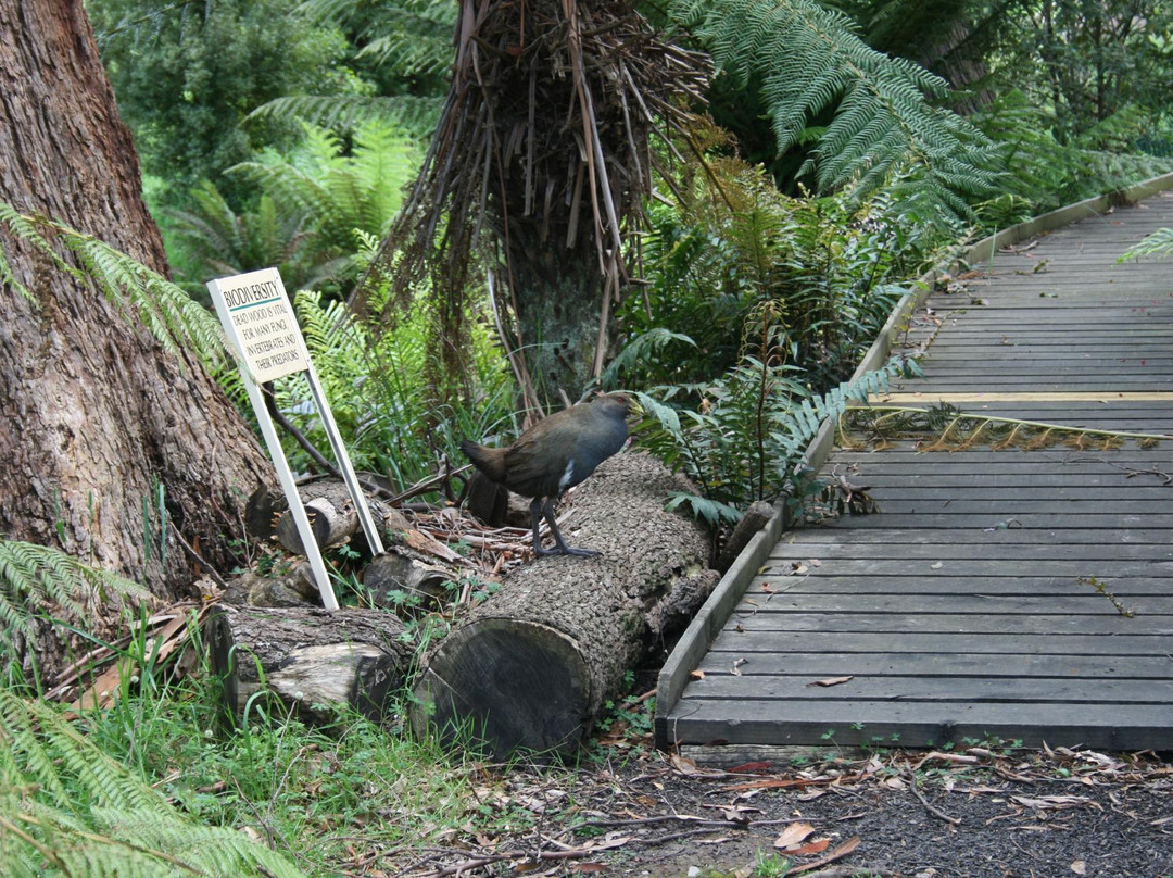 The Tasmanian Arboretum-Devonport必去景点