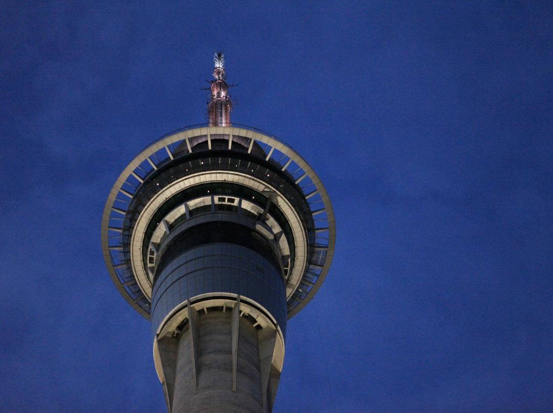 天空之塔-奥克兰中心地区必去景点