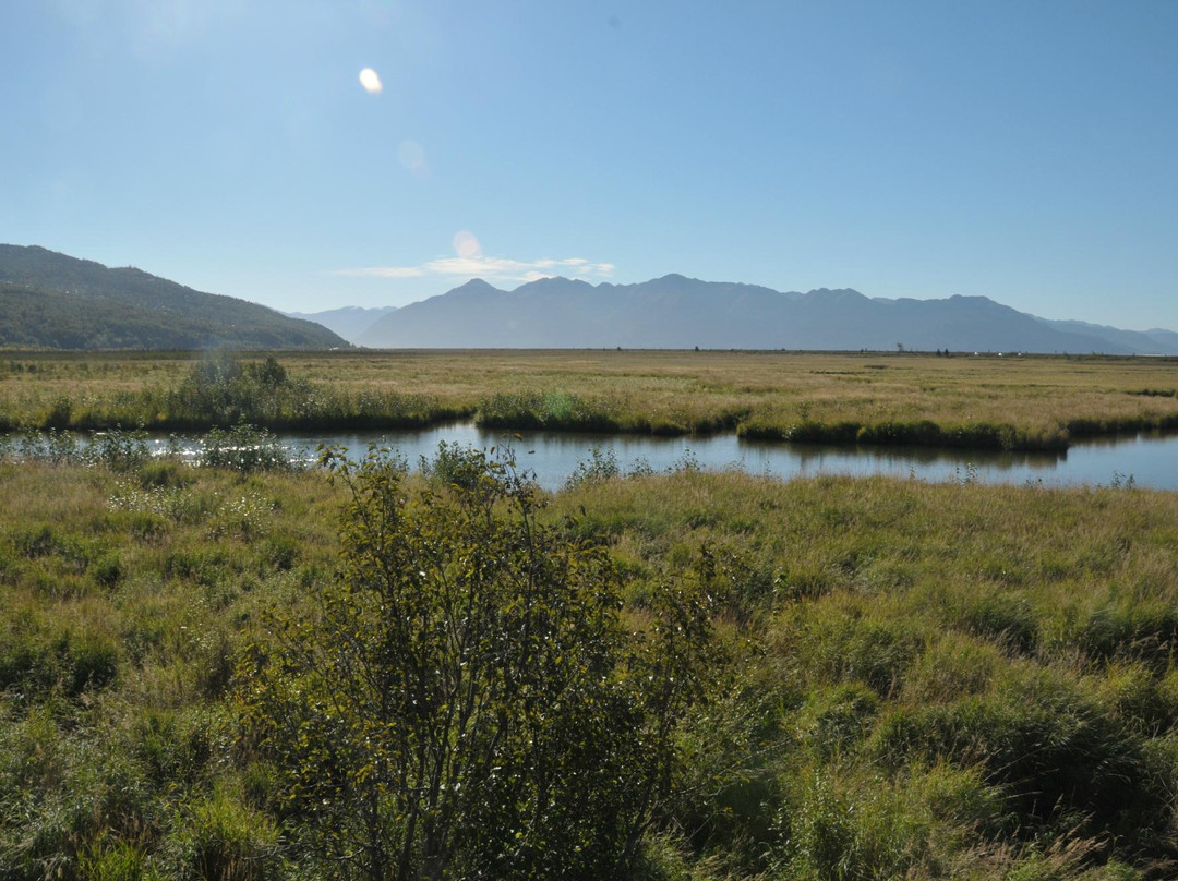 Potter Marsh Bird Sanctuary-安克雷奇必去景点