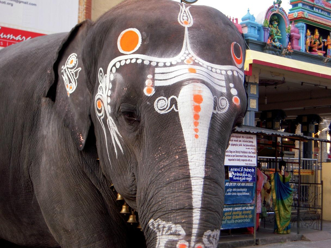 Kamakshi Amman Temple-金奈（马德拉斯）必去景点