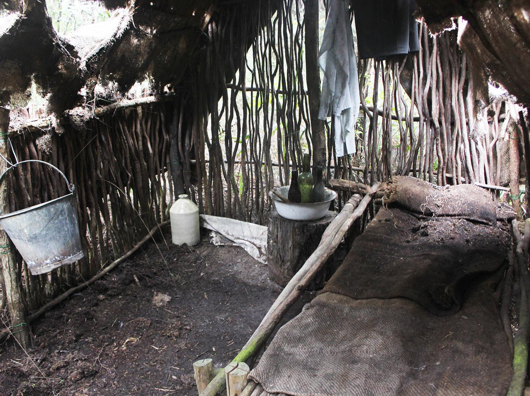 Gumdiggers Park-Awanui必去景点