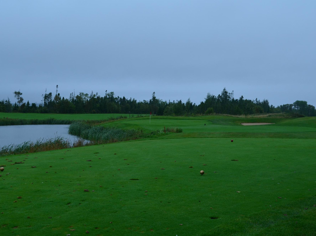 Bell Bay Golf Club景点图片