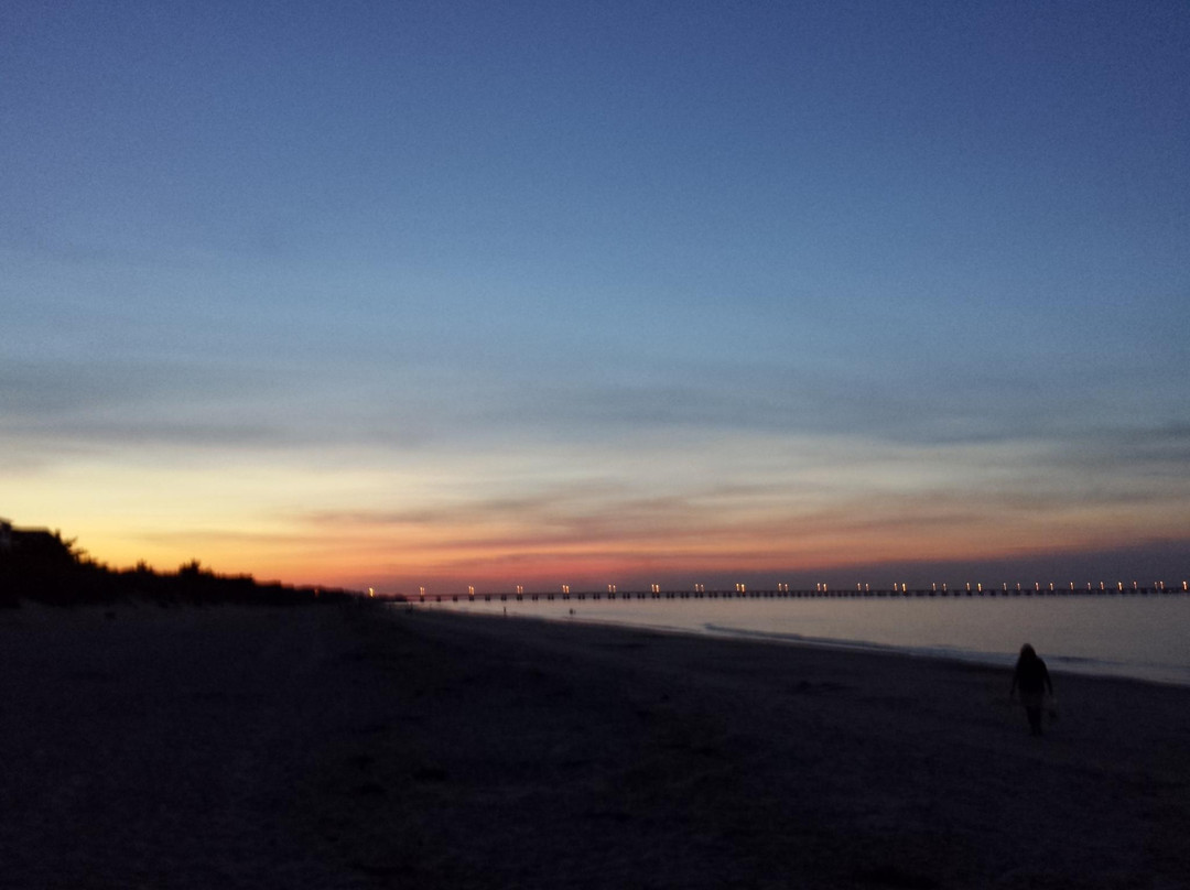 Chic's Beach-弗吉尼亚海滩必去景点