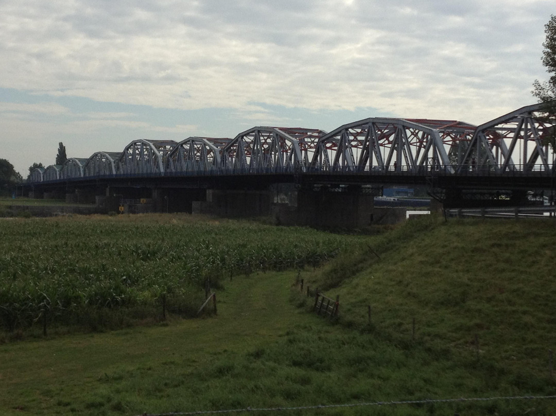 The Battlefield Explorer Tours-Veghel必去景点