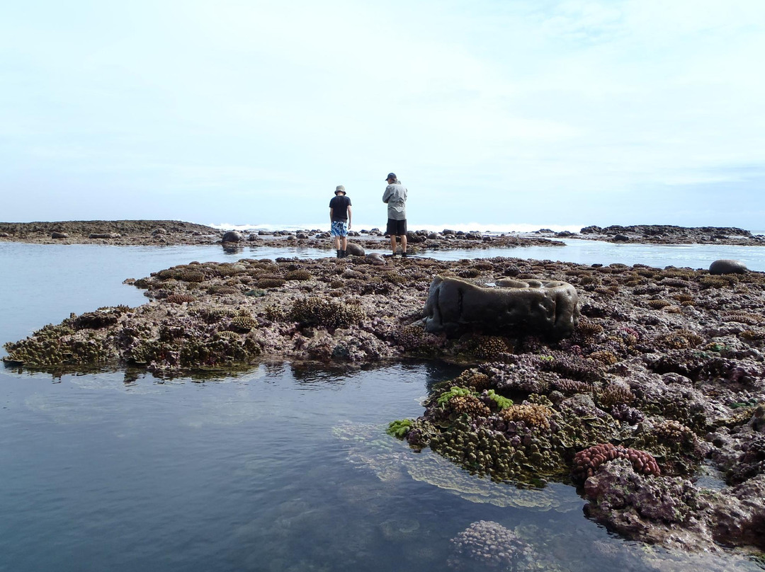 Blue Hole Number Two-塔纳岛必去景点