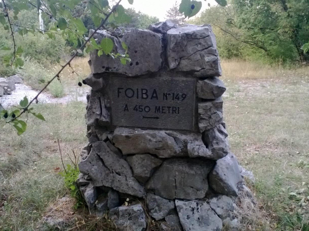 Foiba 149景点图片