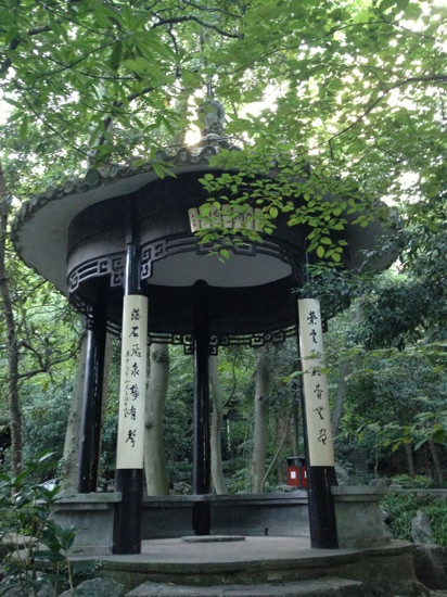 龙井问茶-杭州市必去景点