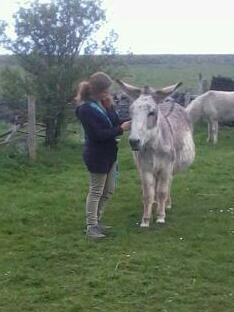 Freshfields Donkey Village-Peak Forest必去景点