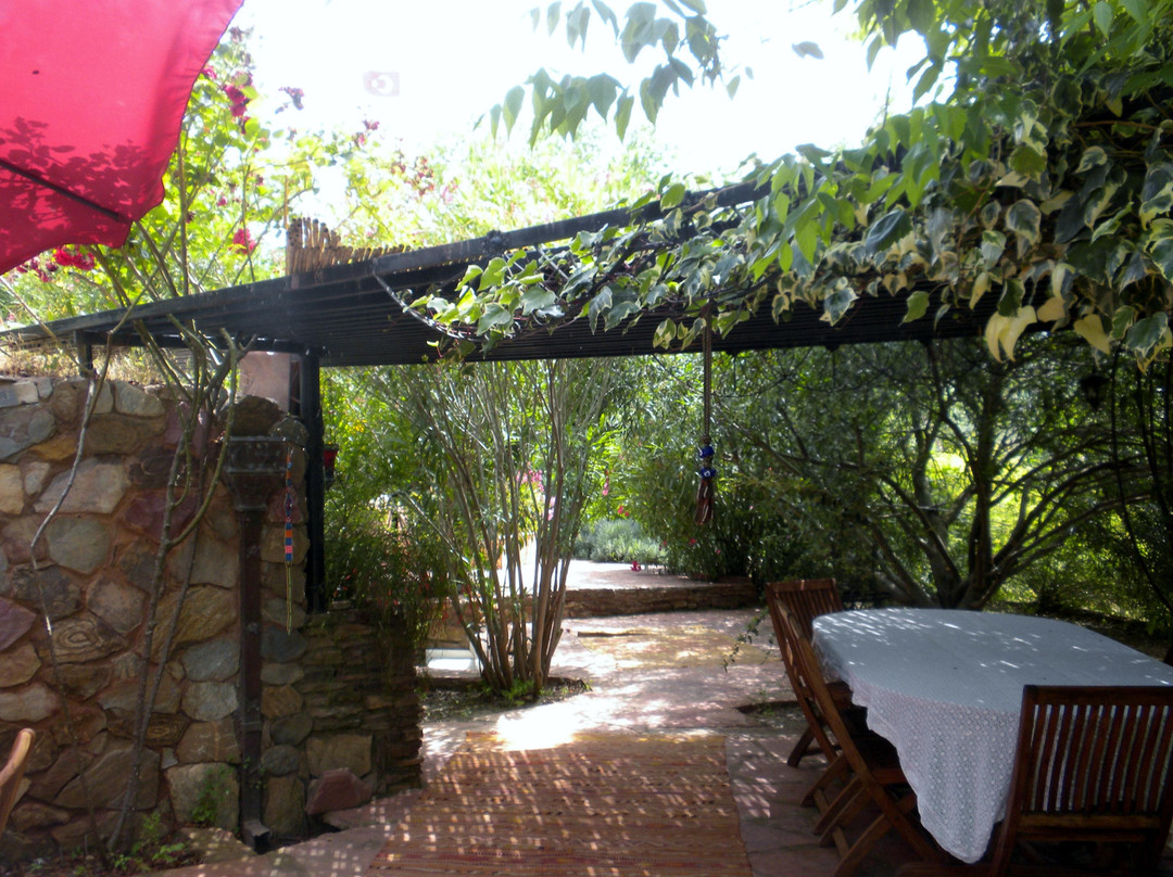 Melitour-伊斯坦布尔必去景点