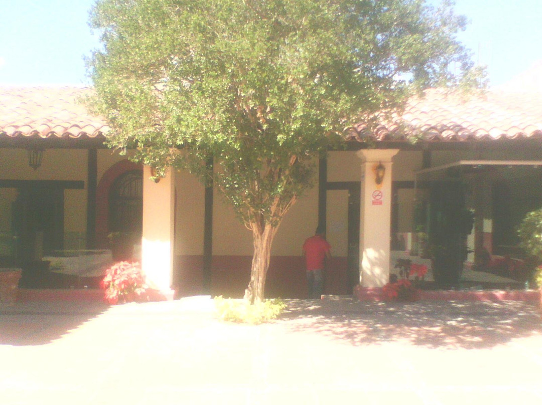 Museo Jose Juarez de la Universidad Autonoma de Guerrero景点图片