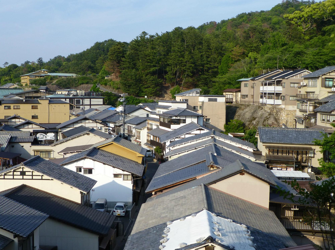 里奥索卡瓦古奇酒店