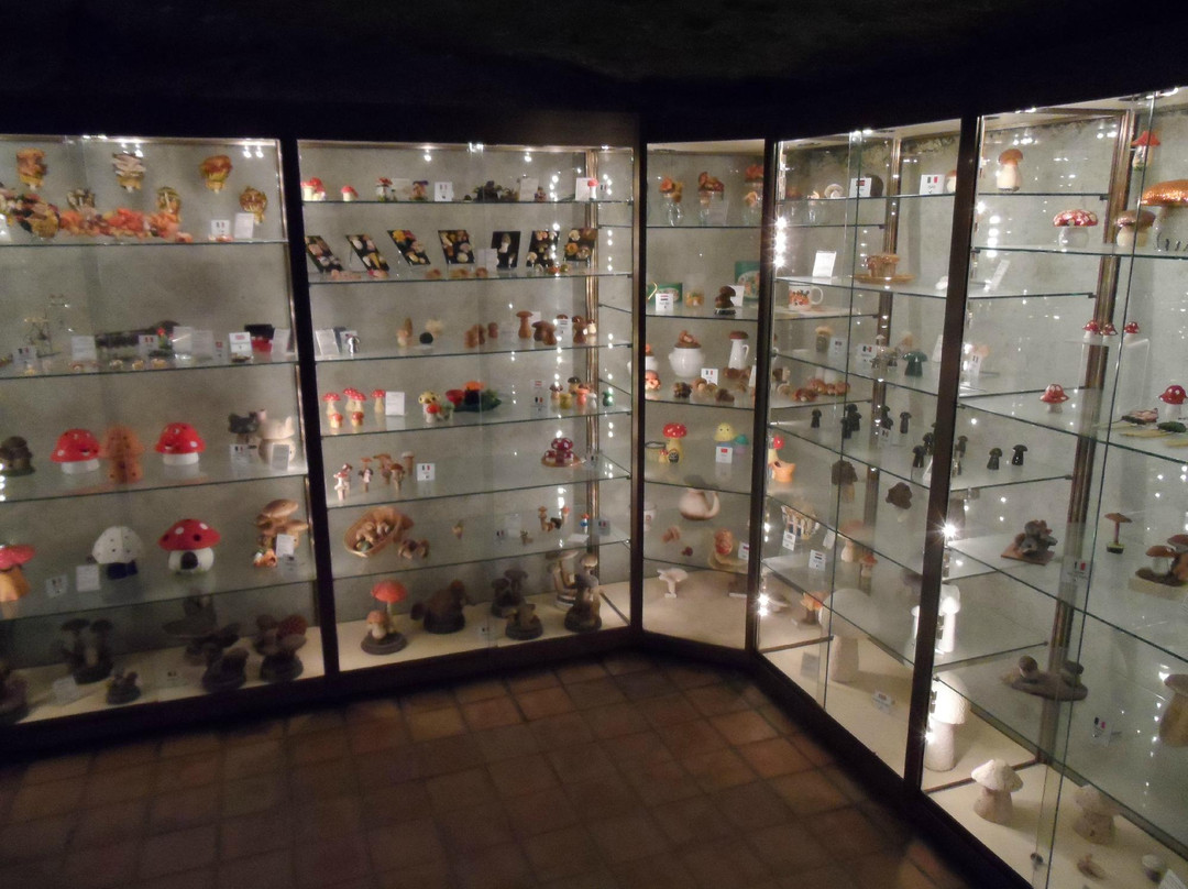 Musée du Champignon景点图片