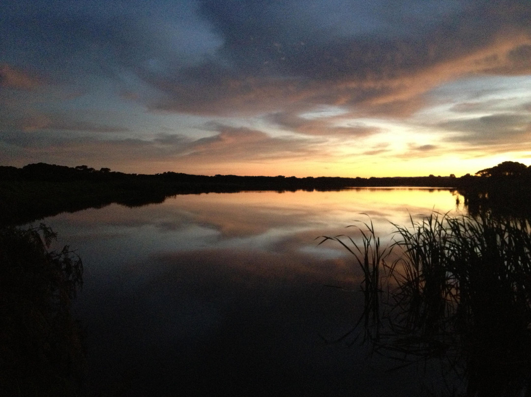 Lake Seppings-奥尔巴尼必去景点