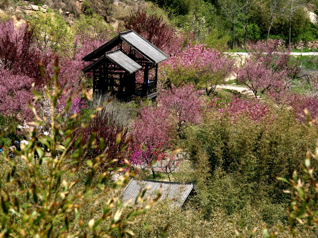 海阳云顶-海阳市必去景点