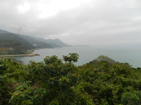 深圳鹿嘴山庄主图