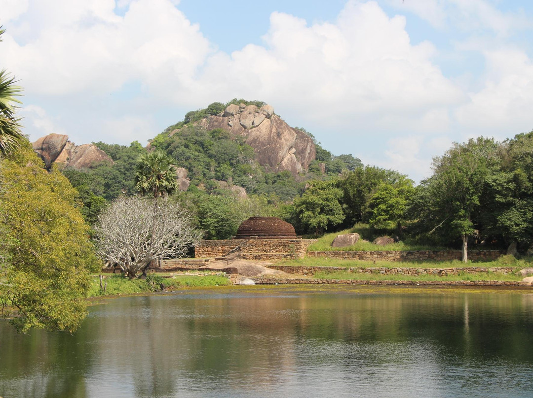 Kalu Diya Pokuna Natural Black Water Pond景点图片
