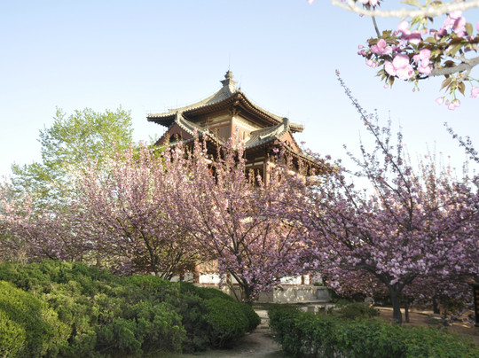 青龙寺-西安市必去景点