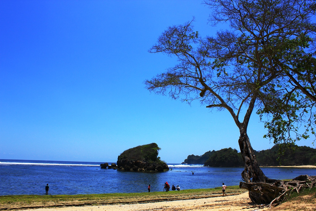 Kondang Merak Beach景点图片