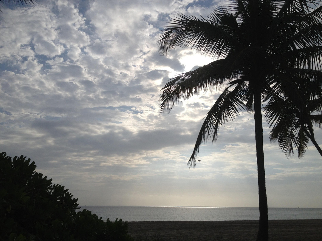 Las Olas Beach-劳德代尔堡必去景点