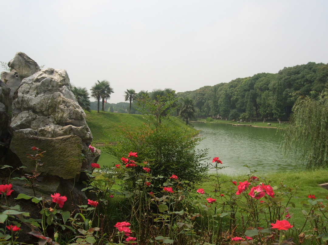 翠林高尔夫度假酒店主图