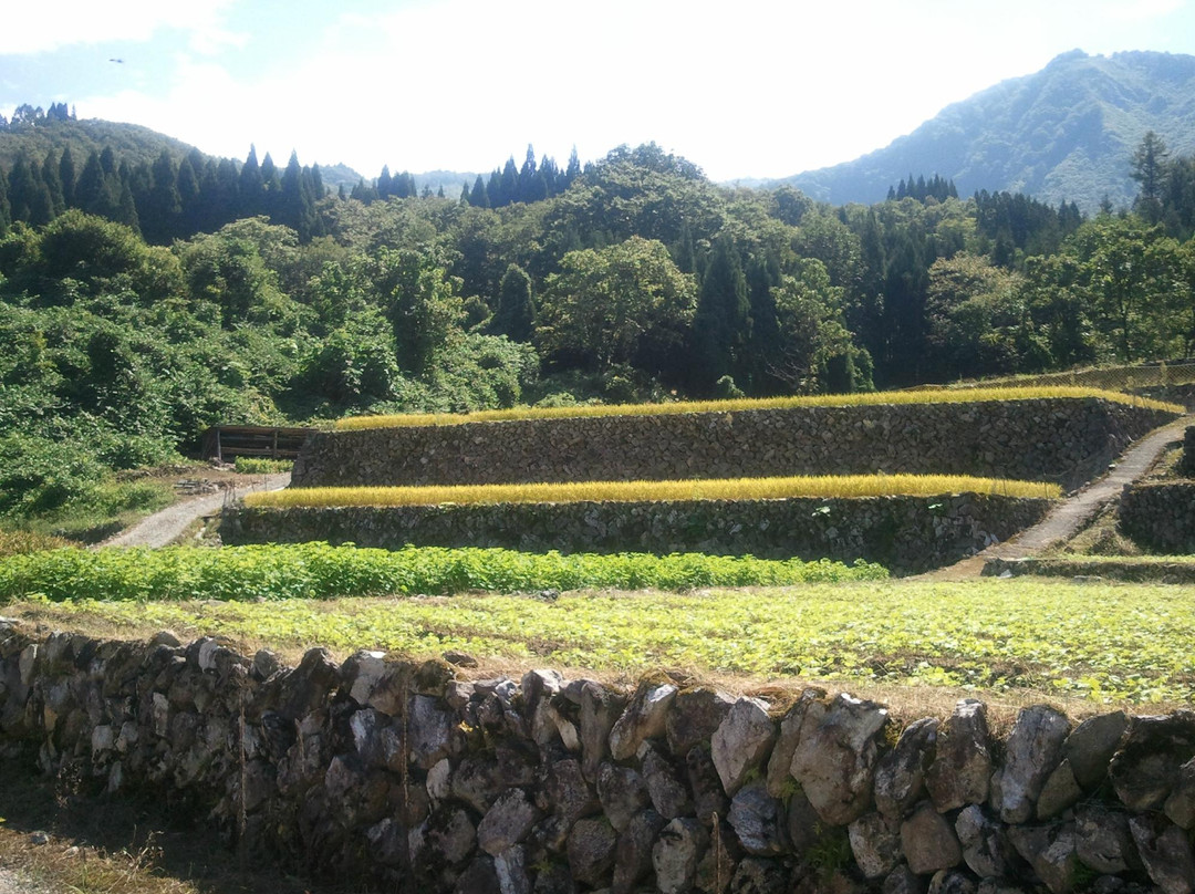 飞弹市旅游攻略图片