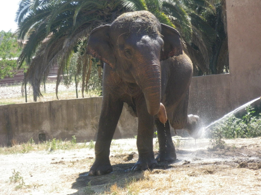 Parc Zoologique de Frejus-弗雷瑞斯必去景点