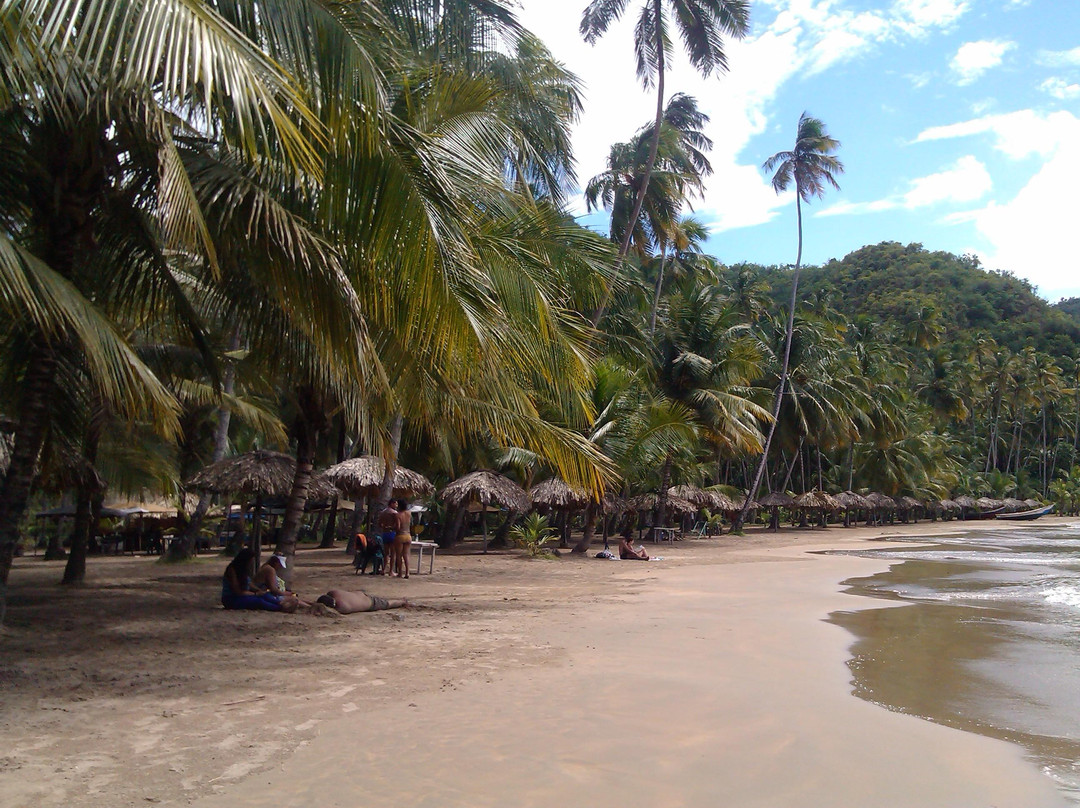 Playa Medina景点图片