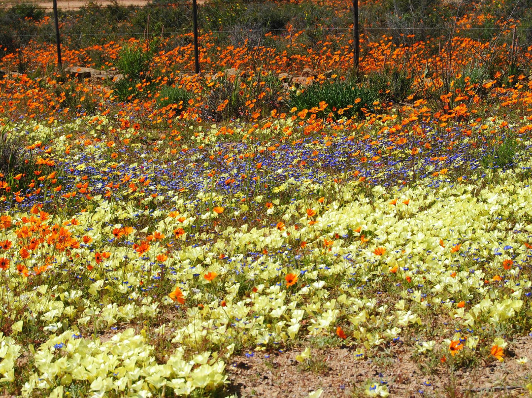 Rendezvous Self Catering Accommodation主图