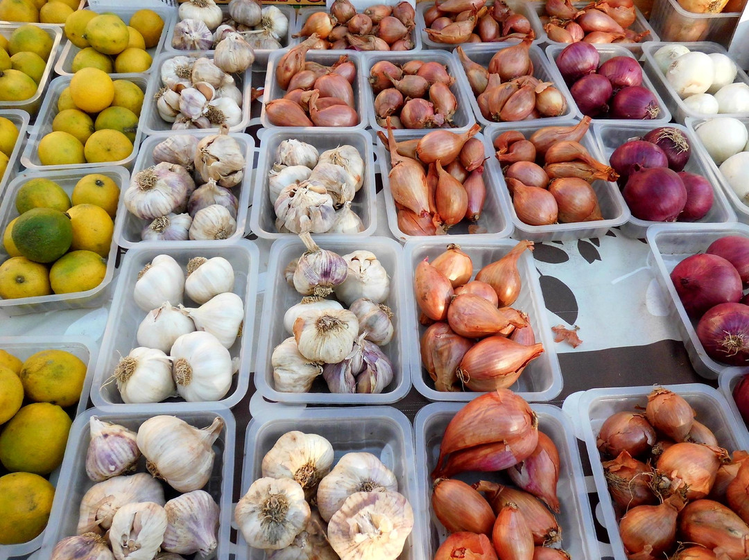 Marché d'Apt景点图片