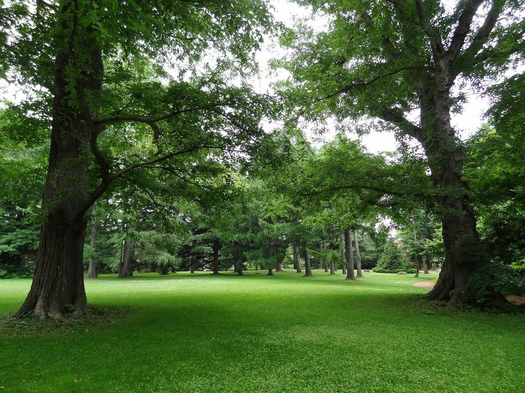 北海道大学植物园-札幌市必去景点