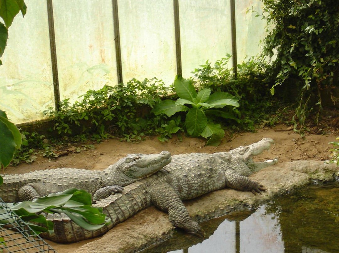 Thrigby Hall Wildlife Gardens景点图片