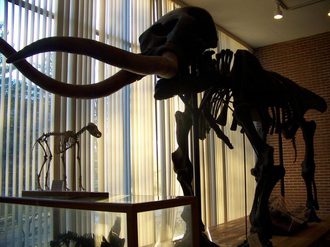 Joseph Moore Museum-里士满必去景点