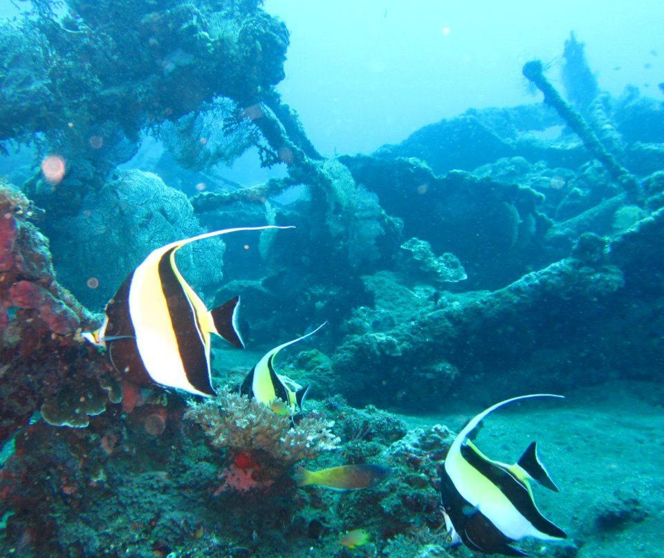 Scuba Duba Doo Dive Center-库塔必去景点