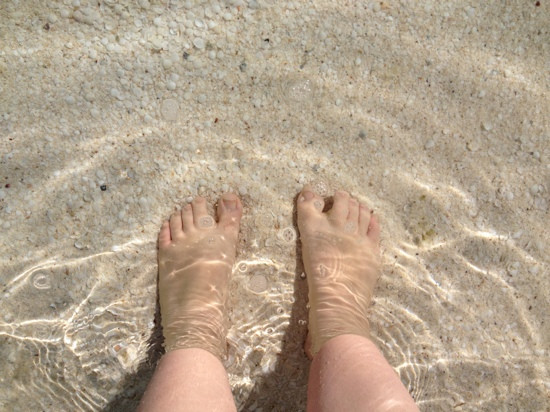 Shell Beach-德纳姆必去景点