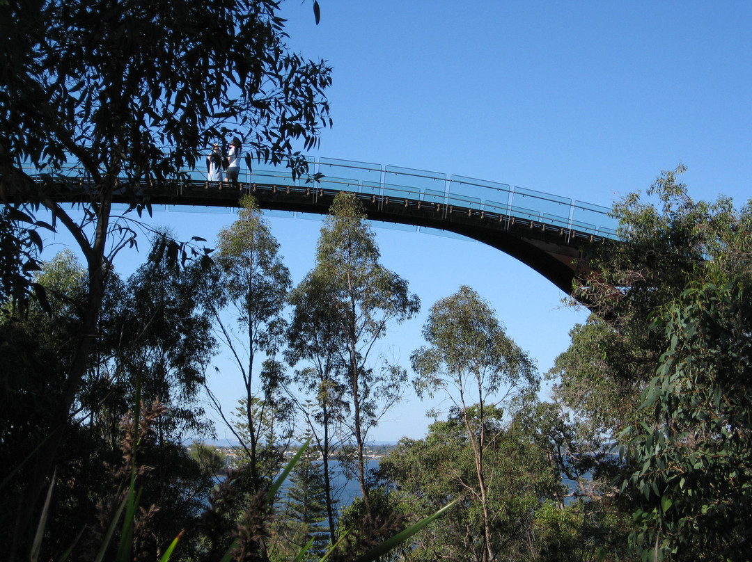 国王公园及植物园-珀斯必去景点