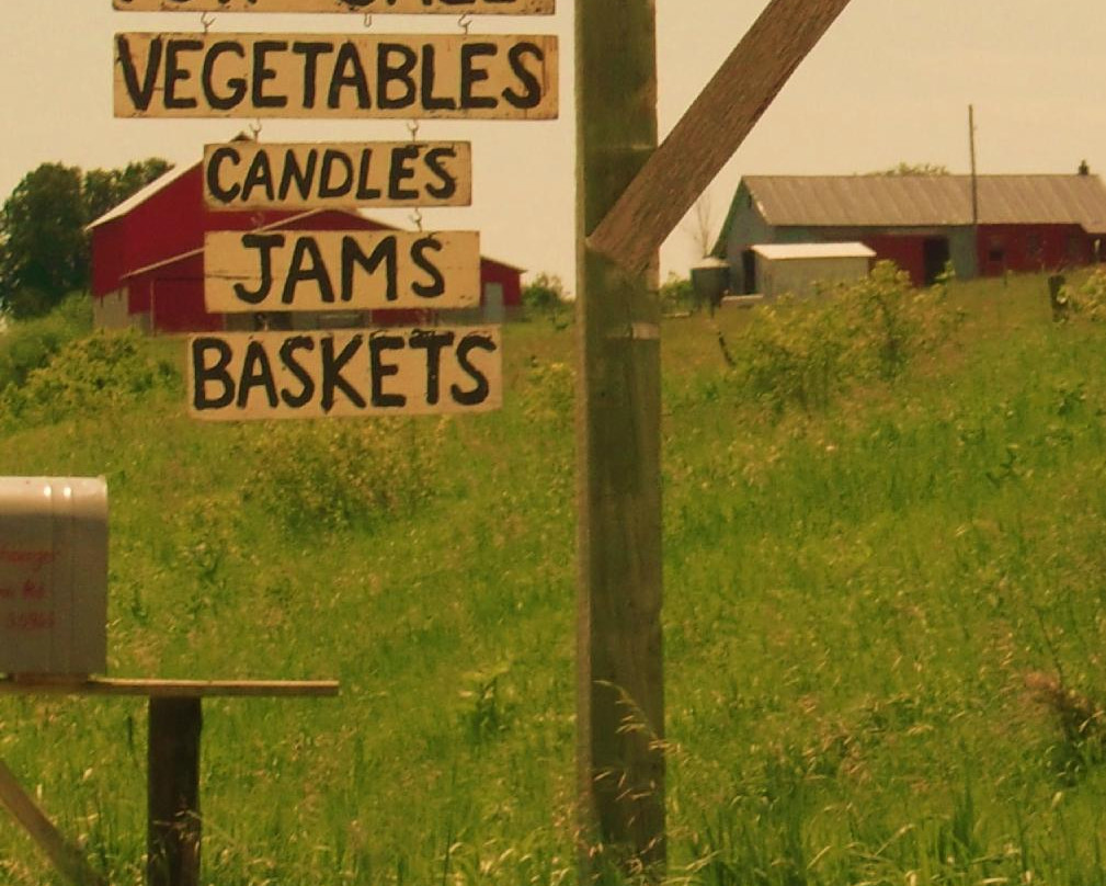 Amish Tours of Harmony-Harmony必去景点