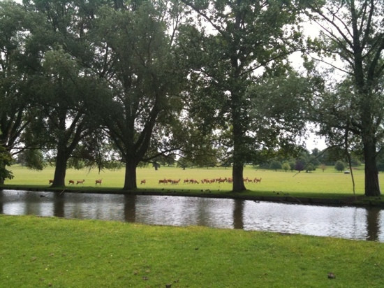 Woburn Abbey and Gardens-Woburn必去景点