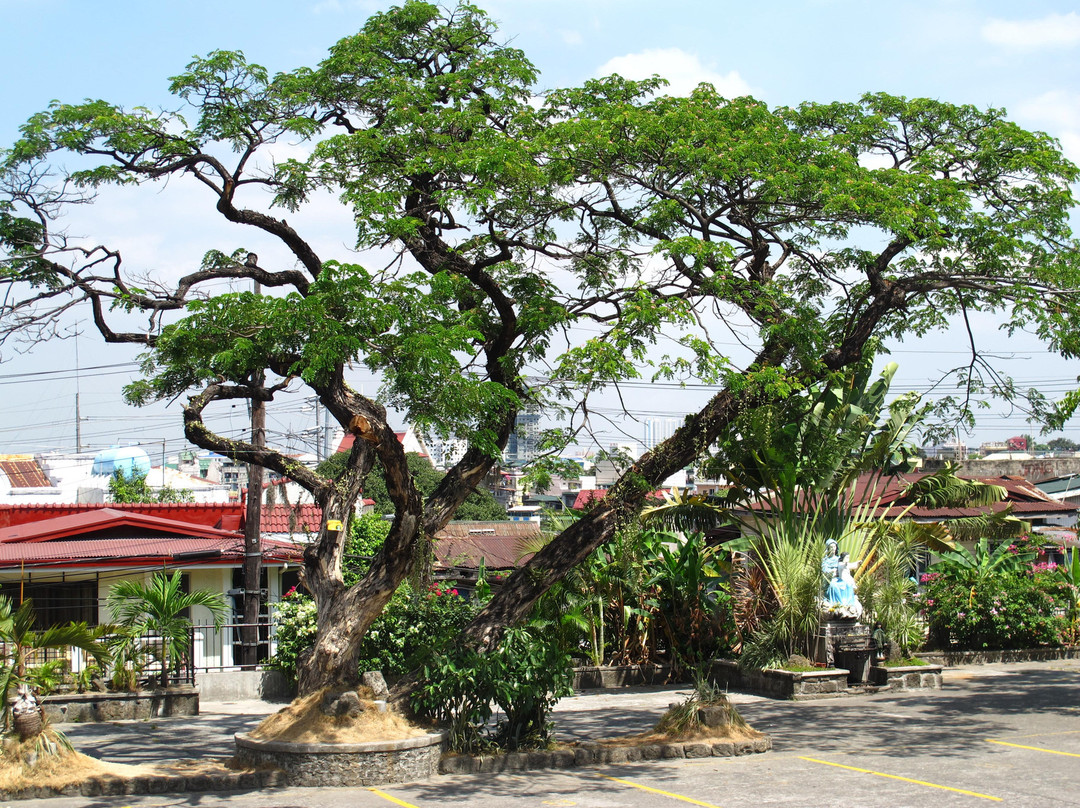 Guadalupe Church-马卡蒂必去景点
