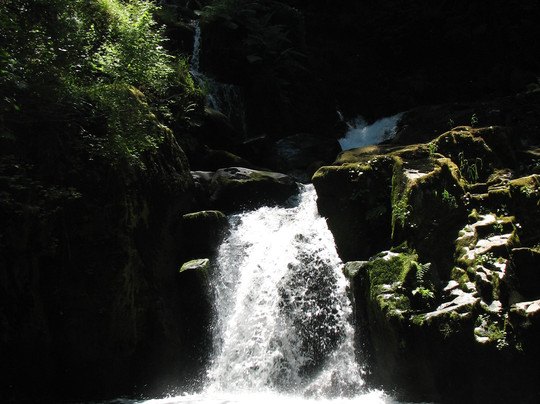 Sweet Creek Falls-Mapleton必去景点