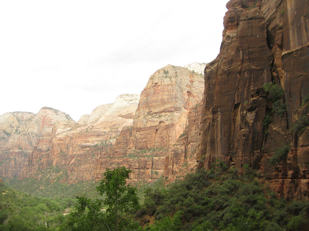 Weeping Rock Trail-锡安国家公园必去景点