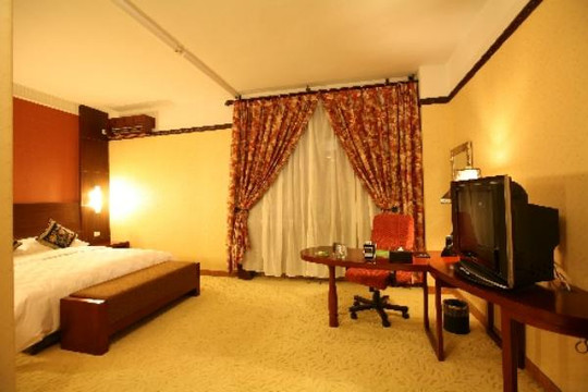 勃莱梅大酒店主图