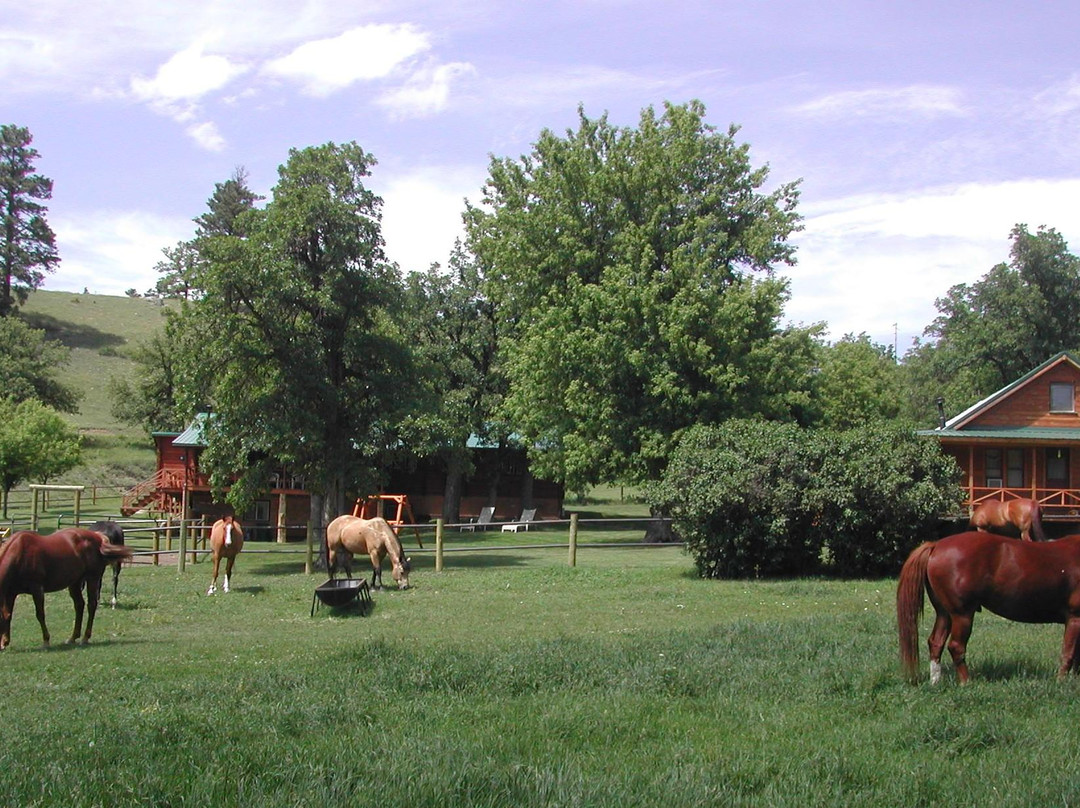 Diamond L Guest Ranch主图